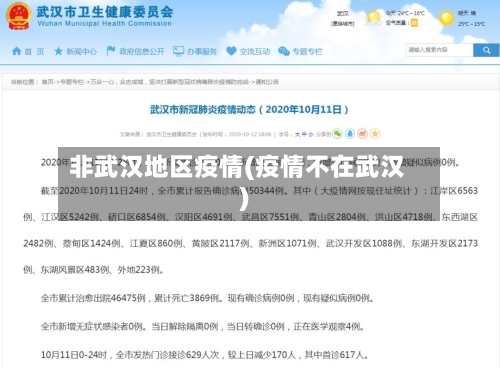 非武汉地区疫情(疫情不在武汉)