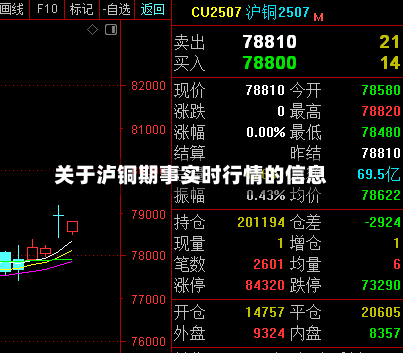 关于泸铜期事实时行情的信息