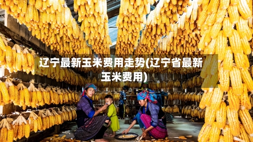 辽宁最新玉米费用走势(辽宁省最新玉米费用)-第2张图片