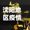 沈阳地区疫情政策/沈阳的疫情防控政策-第3张图片