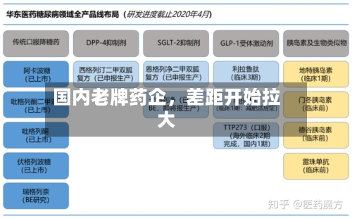 国内老牌药企，差距开始拉大-第2张图片