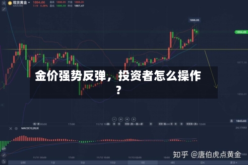 金价强势反弹，投资者怎么操作？-第2张图片
