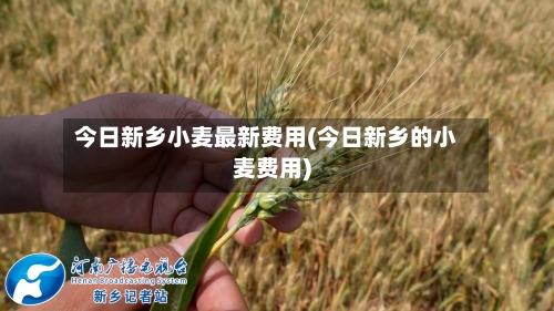 今日新乡小麦最新费用(今日新乡的小麦费用)