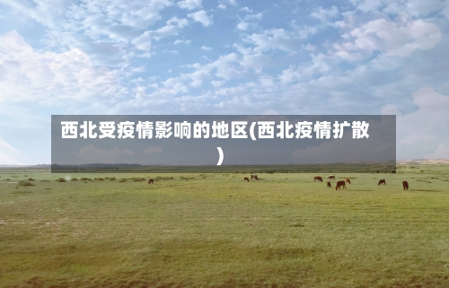 西北受疫情影响的地区(西北疫情扩散)