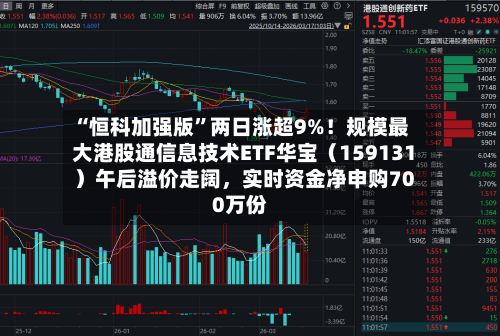 “恒科加强版”两日涨超9%！规模最大港股通信息技术ETF华宝（159131）午后溢价走阔，实时资金净申购700万份-第3张图片