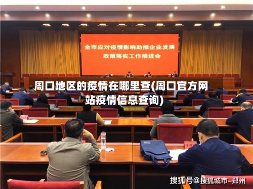 周口地区的疫情在哪里查(周口官方网站疫情信息查询)-第3张图片
