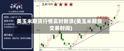 美玉米期货行情实时新浪(美玉米期货交易时间)-第2张图片