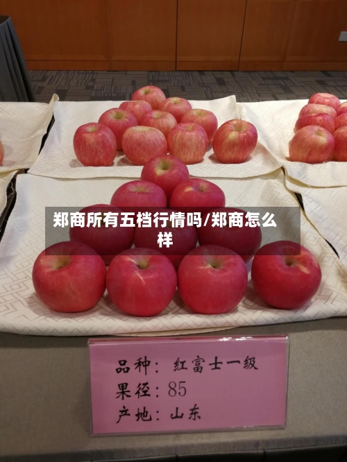 郑商所有五档行情吗/郑商怎么样-第2张图片