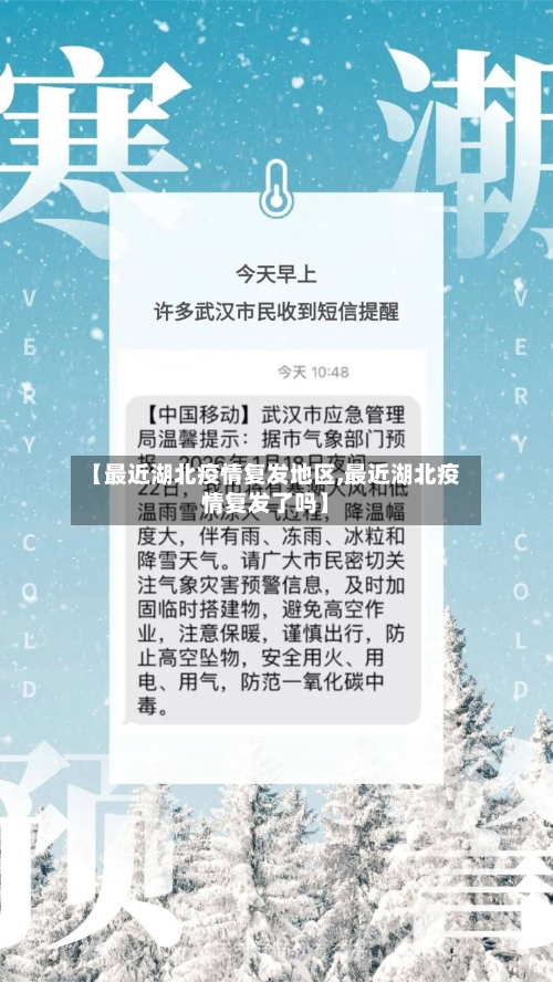 【最近湖北疫情复发地区,最近湖北疫情复发了吗】-第2张图片