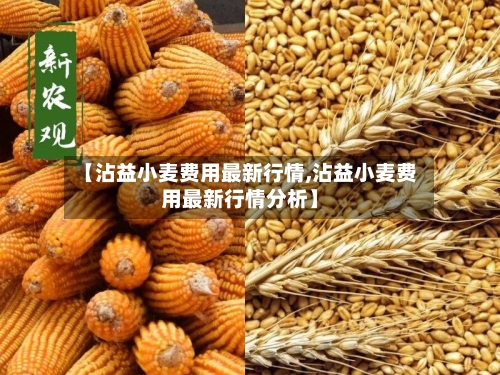 【沾益小麦费用最新行情,沾益小麦费用最新行情分析】