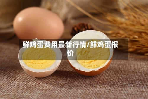 鲜鸡蛋费用最新行情/鲜鸡蛋报价