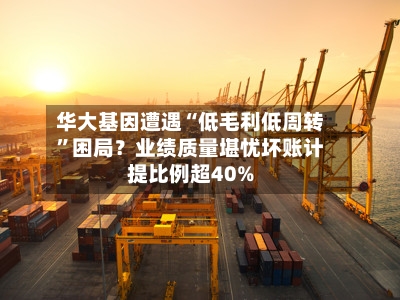 华大基因遭遇“低毛利低周转”困局？业绩质量堪忧坏账计提比例超40%-第3张图片
