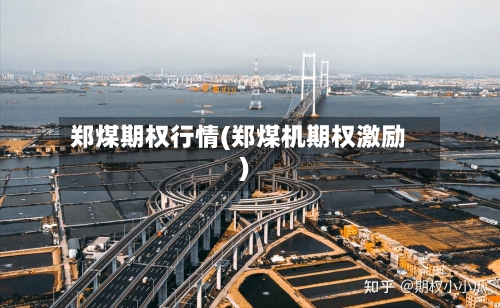 郑煤期权行情(郑煤机期权激励)