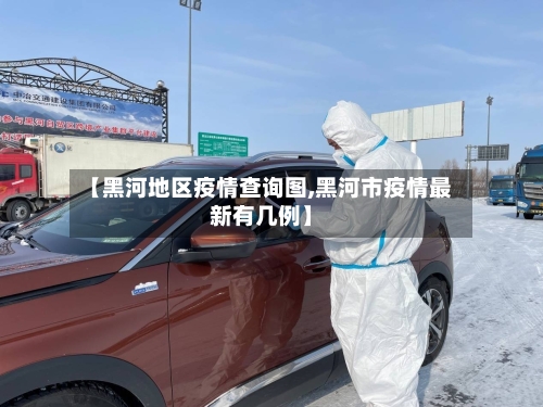 【黑河地区疫情查询图,黑河市疫情最新有几例】-第2张图片