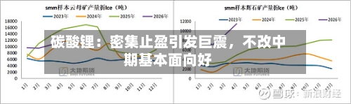 碳酸锂：密集止盈引发巨震，不改中期基本面向好