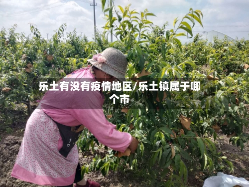 乐土有没有疫情地区/乐土镇属于哪个市-第3张图片
