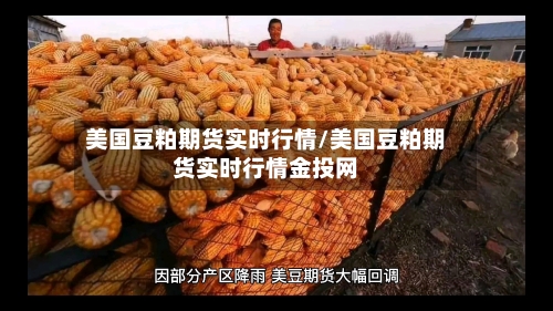 美国豆粕期货实时行情/美国豆粕期货实时行情金投网