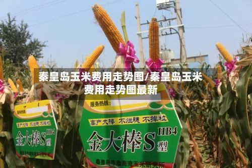 秦皇岛玉米费用走势图/秦皇岛玉米费用走势图最新-第3张图片