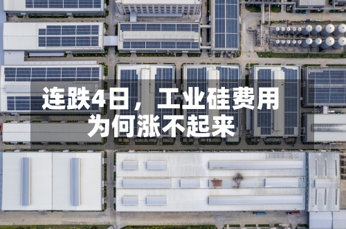 连跌4日，工业硅费用为何涨不起来-第3张图片