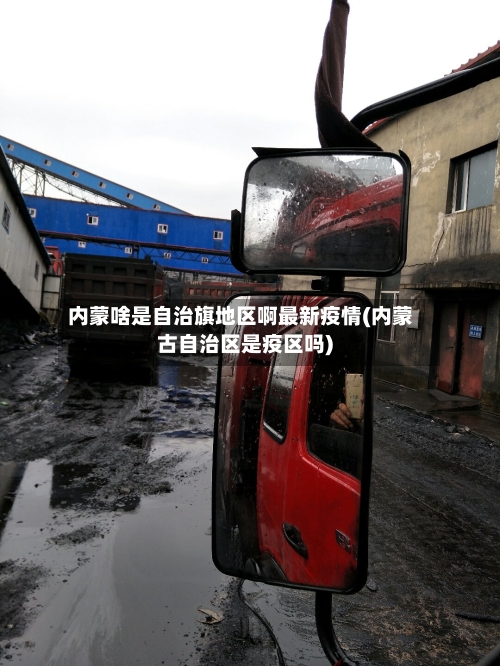 内蒙啥是自治旗地区啊最新疫情(内蒙古自治区是疫区吗)-第2张图片
