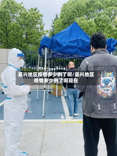 嘉兴地区疫情多少例了啊/嘉兴地区疫情多少例了啊现在-第2张图片