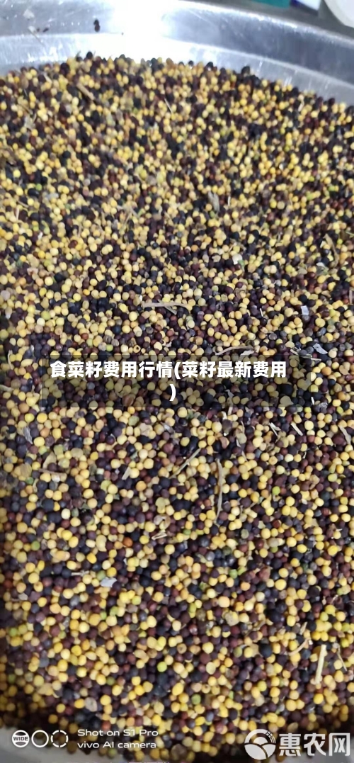 食菜籽费用行情(菜籽最新费用)-第2张图片