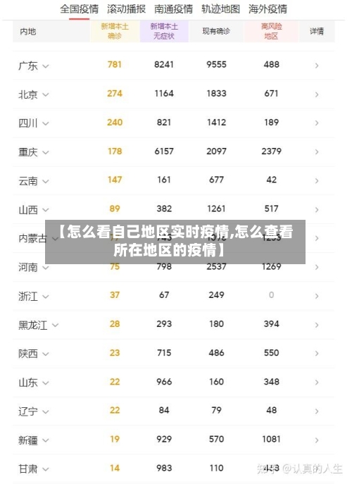【怎么看自己地区实时疫情,怎么查看所在地区的疫情】-第2张图片