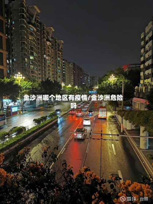 金沙洲哪个地区有疫情/金沙洲危险吗-第3张图片