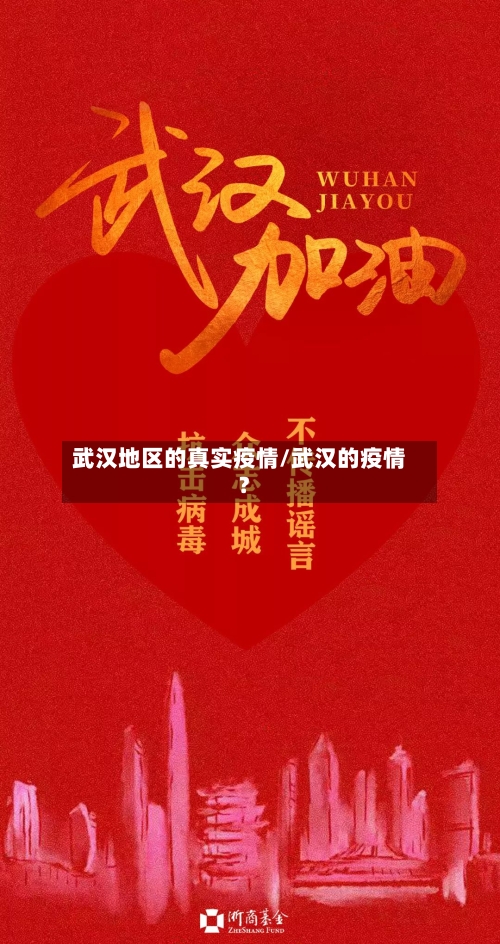 武汉地区的真实疫情/武汉的疫情?