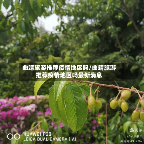 曲靖旅游推荐疫情地区吗/曲靖旅游推荐疫情地区吗最新消息