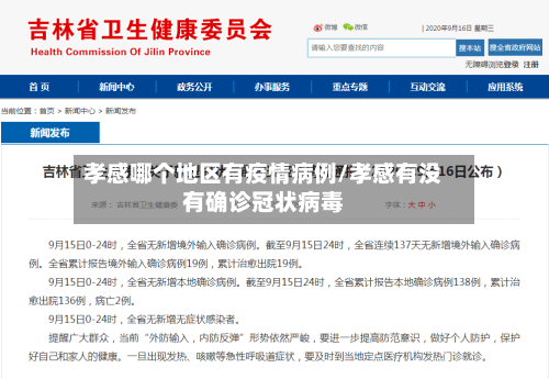孝感哪个地区有疫情病例/孝感有没有确诊冠状病毒-第3张图片