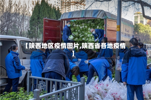 【陕西地区疫情图片,陕西省各地疫情】