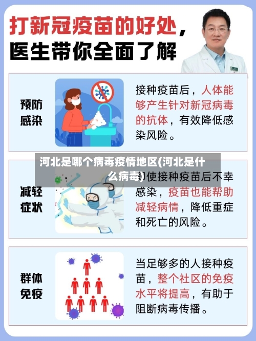 河北是哪个病毒疫情地区(河北是什么病毒)