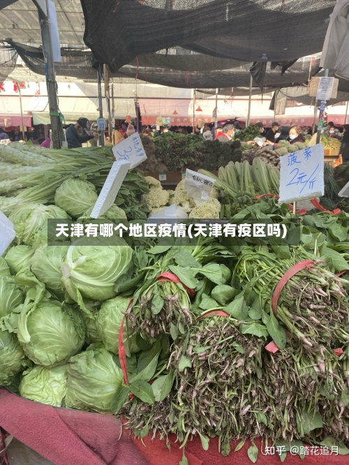 天津有哪个地区疫情(天津有疫区吗)-第2张图片
