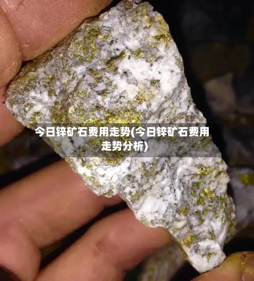 今日锌矿石费用走势(今日锌矿石费用走势分析)-第2张图片