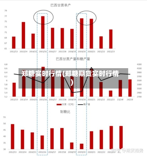 郑糖实时行情(郑糖期货实时行情)-第2张图片
