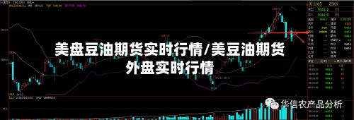 美盘豆油期货实时行情/美豆油期货外盘实时行情-第3张图片
