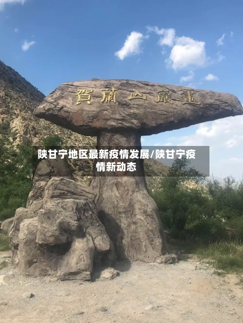 陕甘宁地区最新疫情发展/陕甘宁疫情新动态-第2张图片