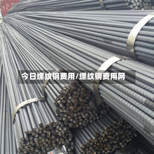 今日缧纹钢费用/缧纹钢费用网