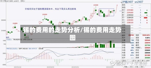 锡的费用的走势分析/锡的费用走势图-第2张图片