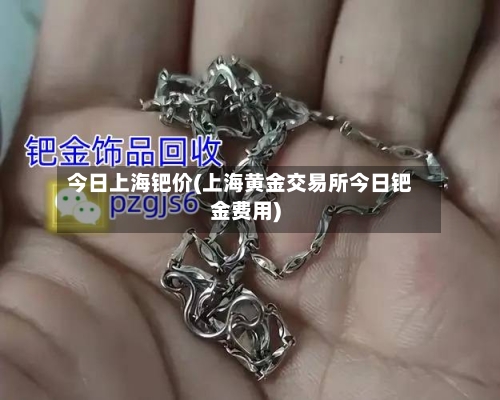 今日上海钯价(上海黄金交易所今日钯金费用)