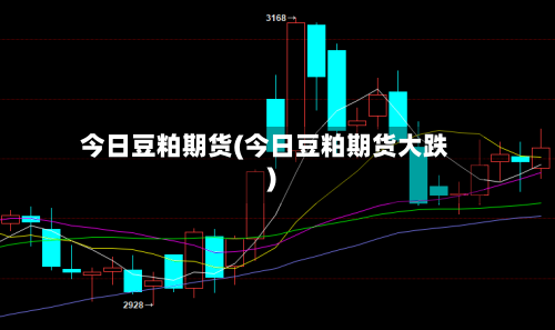 今日豆粕期货(今日豆粕期货大跌)-第3张图片