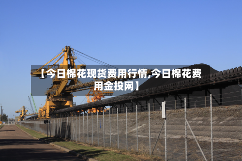 【今日棉花现货费用行情,今日棉花费用金投网】-第3张图片