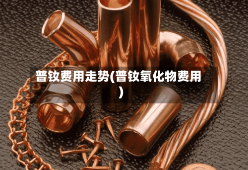 普钕费用走势(普钕氧化物费用)
