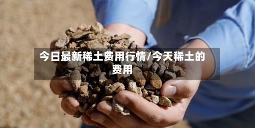 今日最新稀土费用行情/今天稀土的费用-第2张图片