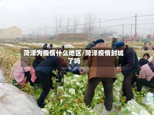 菏泽为疫情什么地区/菏泽疫情封城了吗-第3张图片