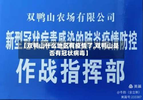 【双鸭山什么地区有疫情了,双鸭山是否有冠状病毒】-第2张图片