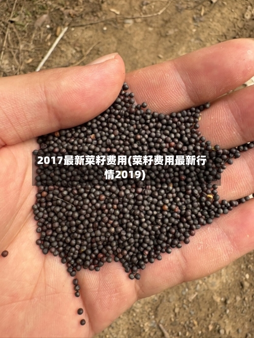 2017最新菜籽费用(菜籽费用最新行情2019)