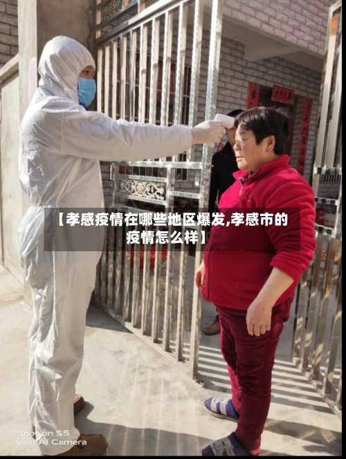 【孝感疫情在哪些地区爆发,孝感市的疫情怎么样】