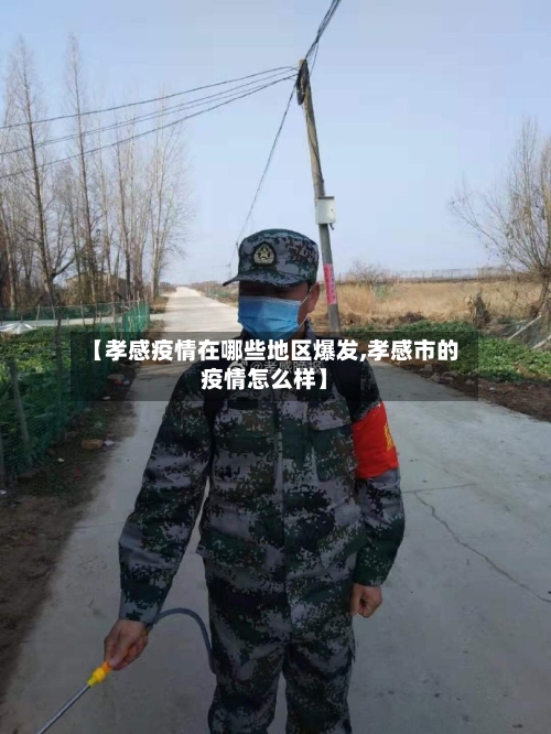【孝感疫情在哪些地区爆发,孝感市的疫情怎么样】-第2张图片